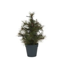 House Doctor - Juletre med LED, HDPinus - Natur - 10 LED lights - h: 30 cm