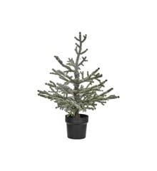 House Doctor - Weihnachtsbaum mit LED-Lichtern, HDNat - Natur - 60 LED lights - w: 48 cm, h: 70 cm