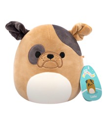 Squishmallows - 19 cm P20 Plush - Loafer Dog (206091)