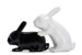 Winkee - Bunny S+P Shakers - Salt- og Peber Dispenser thumbnail-2