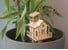 Winkee - Tiny Tree House DIY Set - Vase thumbnail-3