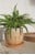 Winkee - Crying Plant Pot - Planter thumbnail-3