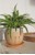 Winkee - Crying Plant Pot - Urtepotteskjuler thumbnail-3