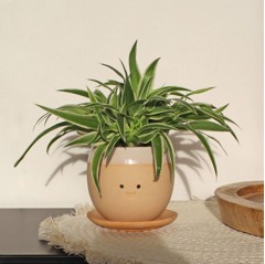 Winkee - Crying Plant Pot - Planter