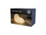 Winkee - Bordlampe - Nightlight Sea Lion thumbnail-3