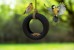 Winkee - Feeding Board - Tyre Bird Feeder thumbnail-3