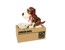 Winkee - Dog Piggy Bank - (17814) thumbnail-2