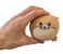 Winkee - Stress ball and screen cleaner - Hamster Tommy thumbnail-5