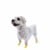 PAWZ - Dog boots Xxs - Yellow (632.8042) thumbnail-4