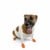 PAWZ - Dog boots Xs - Orange (632.8044) thumbnail-4