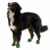 PAWZ - Dog boots Xl - Green (632.8052) thumbnail-4