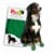 PAWZ - Dog boots Xl - Green (632.8052) thumbnail-1