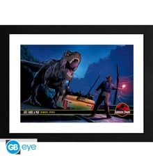 JURASSIC PARK - Framed print "Alan Grant vs T-Rex" (30x40) x2