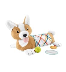 Fisher-Price - 3-in-1 Puppy Tummy Wedge (HJW10)