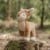 Little Dutch - Kramme bamse Deer Fairy Garden thumbnail-6