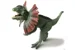 Animal Universe - Dinosaur set with light and sound - Dilophosaurus (525007) thumbnail-5