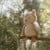 Little Dutch - Cuddle Owl Forest Friends (LD8903) thumbnail-5