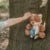 Little Dutch - Bamse Ræv - Forest Friends thumbnail-7