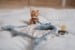 Little Dutch - Cuddle cloth print fox Forest Friends (LD8927) thumbnail-3