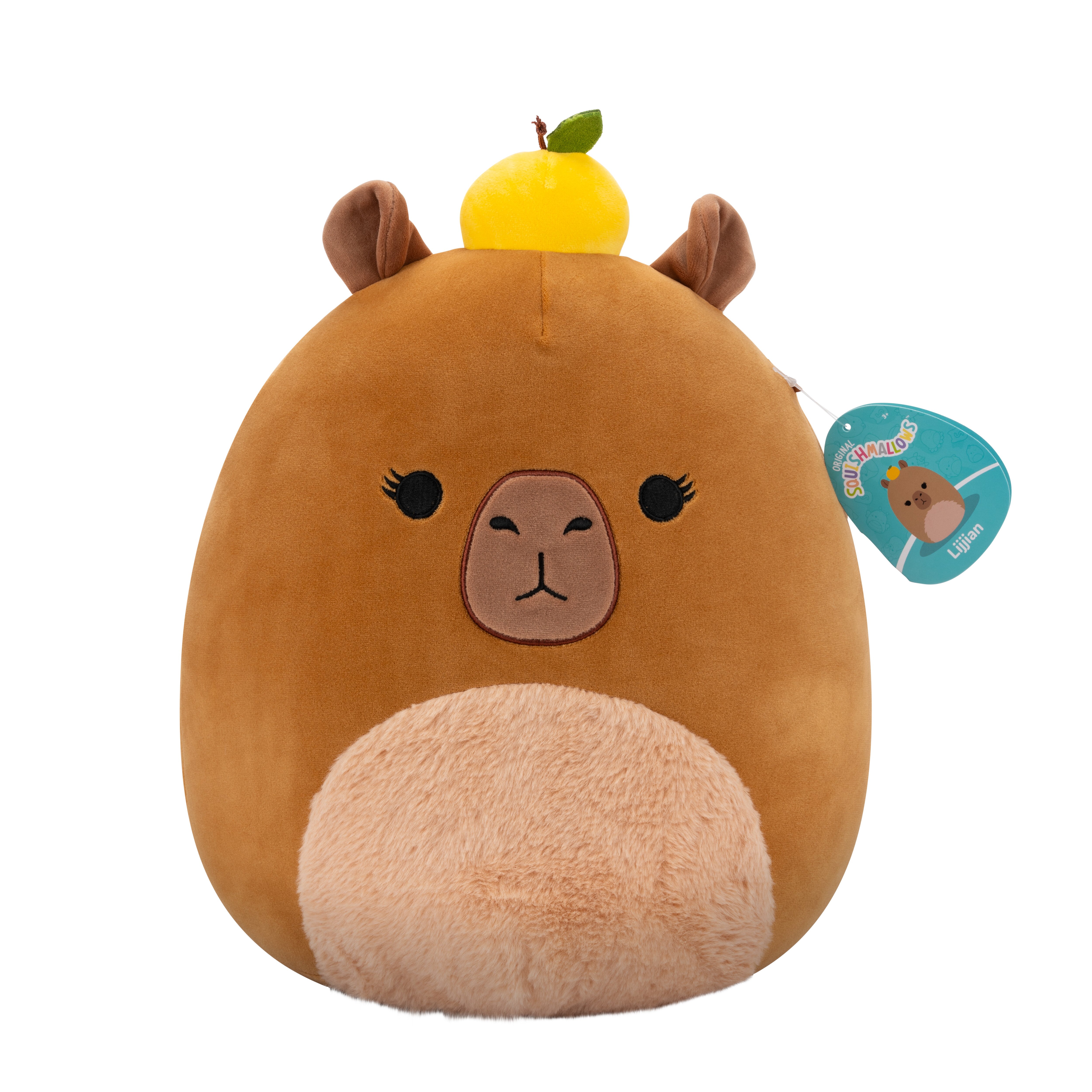 Squishmallows - LIJJIAN CAPYBARA - (237691)