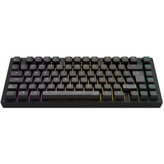 Dark Project - Nostra Black  81 RGB