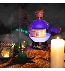 Harry Potter Potion Lamp - Large