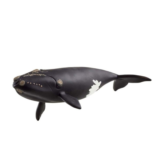 Schleich - North Atlantic Right Whale - (14878)