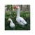 Heico - Lamp Duck - White thumbnail-2