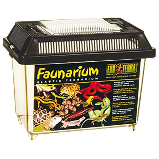 Exoterra - Faunarium large plastic  37x22x24.5cm