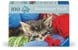 Ravensburger - Wool Cat - (12001363) thumbnail-2