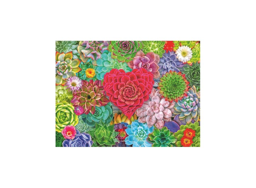 Ravensburger - Succulent Love - 500p (12001469)