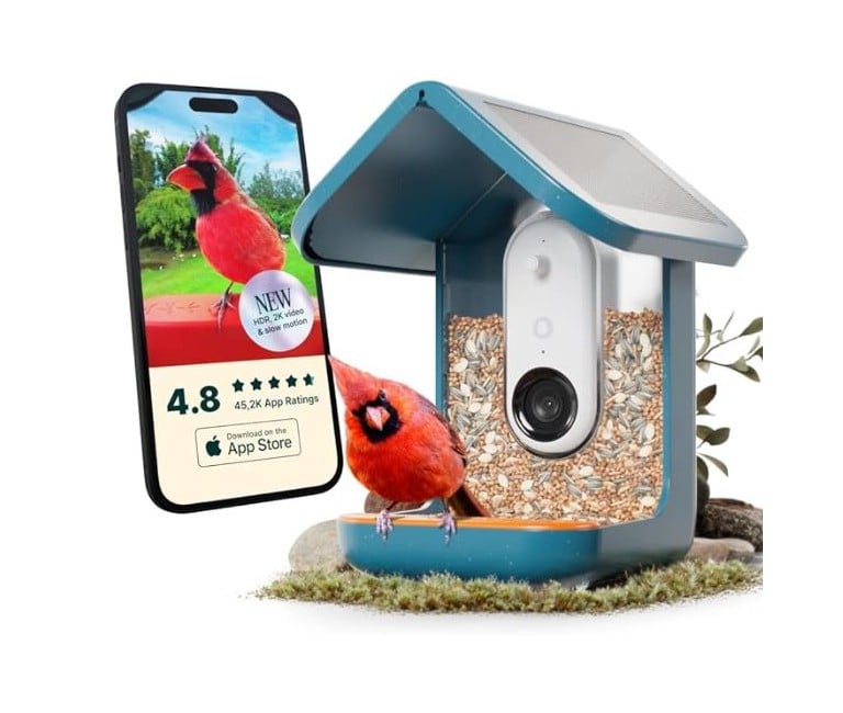 BirdBuddy - Smart Bird Feeder 2.0 Blå med solpaneler - AI artgenkendelser 2K ultra video