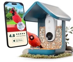 BirdBuddy - Smart Bird Feeder 2.0 Blå med solpaneler - AI artgenkendelser 2K ultra video