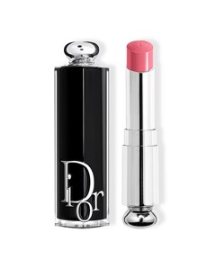 Dior - Addict Shine Lipstick 373 Rose Celestial