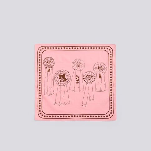 HAY - Recycled Dogs Scarf 55 x 55 (Pink)