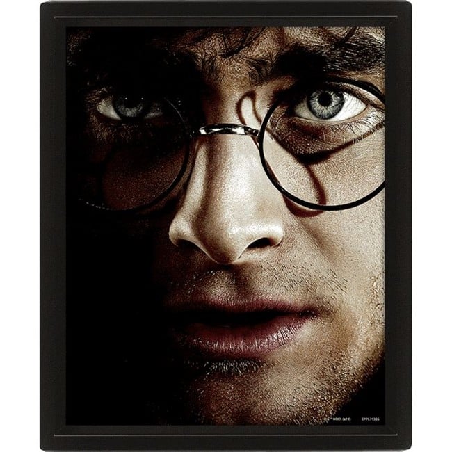 HARRY POTTER (HARRY VS VOLDEMORT) - FRAMED