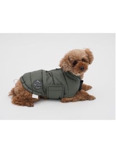 Nordic paws - Dog Raincoat Albert - Green - XS 30cm