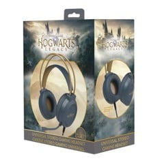 Harry Potter - Dual headset microphone for PC/PS4/PS5/XBOXONE/SWITCH