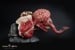 PureArts - Resident Evil 2 -Licker 1:1 Bust RESIN Statue thumbnail-2