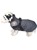 Peppy buddies - Dogcoat with harness 55cm thumbnail-1