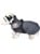 Peppy buddies - Hundejakke med sele 55cm thumbnail-1