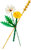 LEGO - Botanicals - Markblomster (30701) thumbnail-1