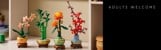 LEGO - Botanicals - Mini Orchid (10343) thumbnail-2