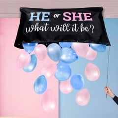 Gender Reveal Balloon Set