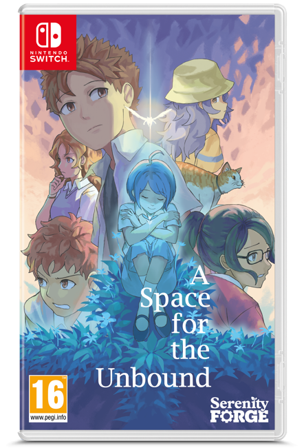 A Space For The Unbound (Import/Multi in Games)