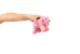 Minecraft - Clip-on Plush - Pig thumbnail-2