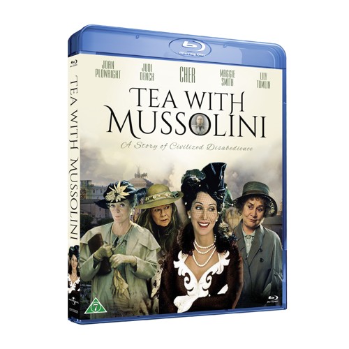 Tea with mussolini (Cher, Judy Dench and Maggie Smith)