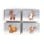 Filibabba - 4 Puzzles Wonderful Winter Forest friends - (FI-03793)