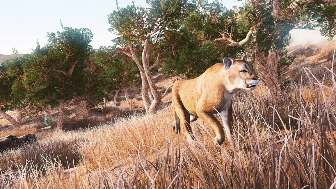 Hunting Simulator (Code in a box)