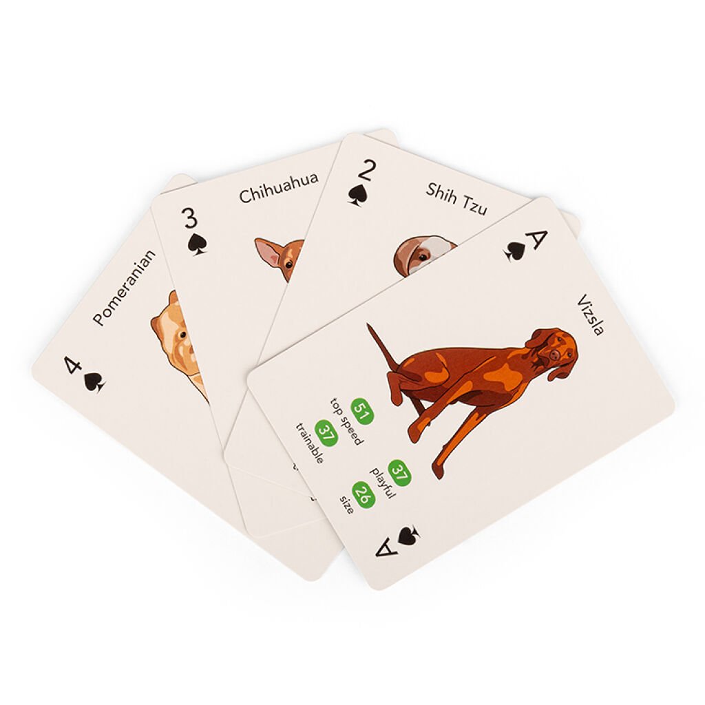 Kikkerland - Paws&Play Playing Cards - (GG274)